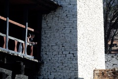 BridalInc-Singapore-Overseas-Pre-Wedding_Bhutan_016_Joni-Eileen